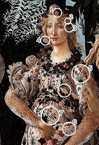 Dettagli floreali sulla corona di fiori e sul vestito di Flora