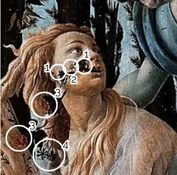 Dettaglio dei fiori che escono dalla bocca della ninfa Clori