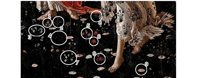 Dettagli dei fiori del prato tra Flora e Venere