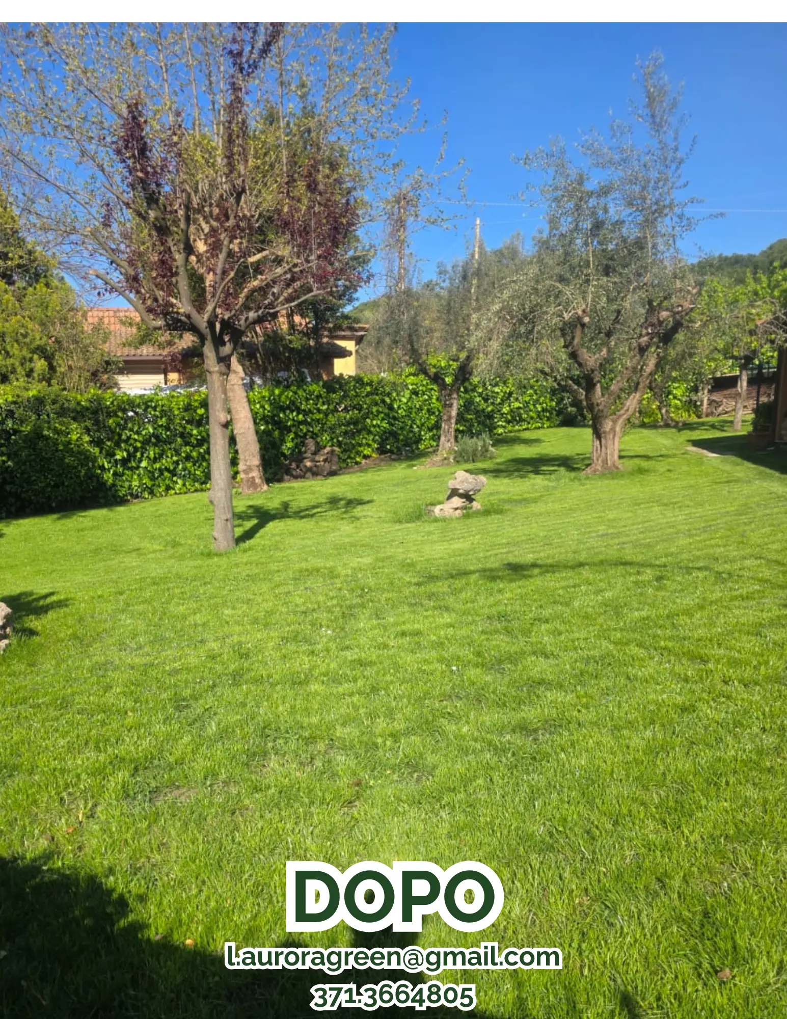 Foto del dopo di un giardino