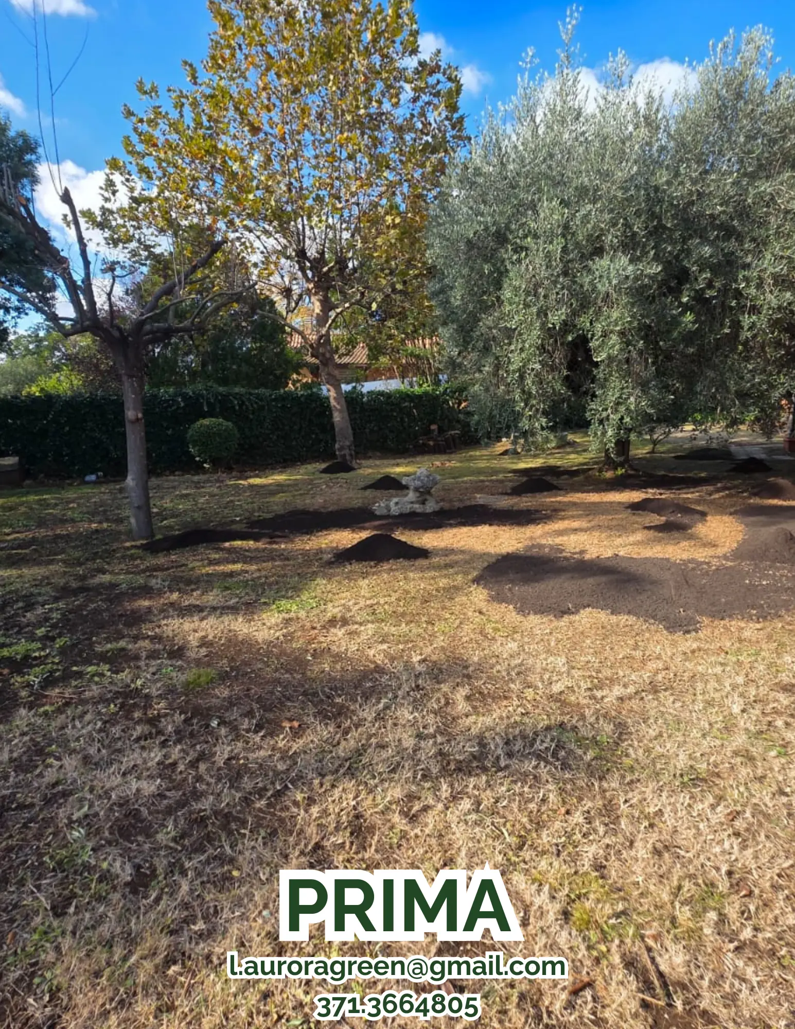 Foto del prima di un giardino
