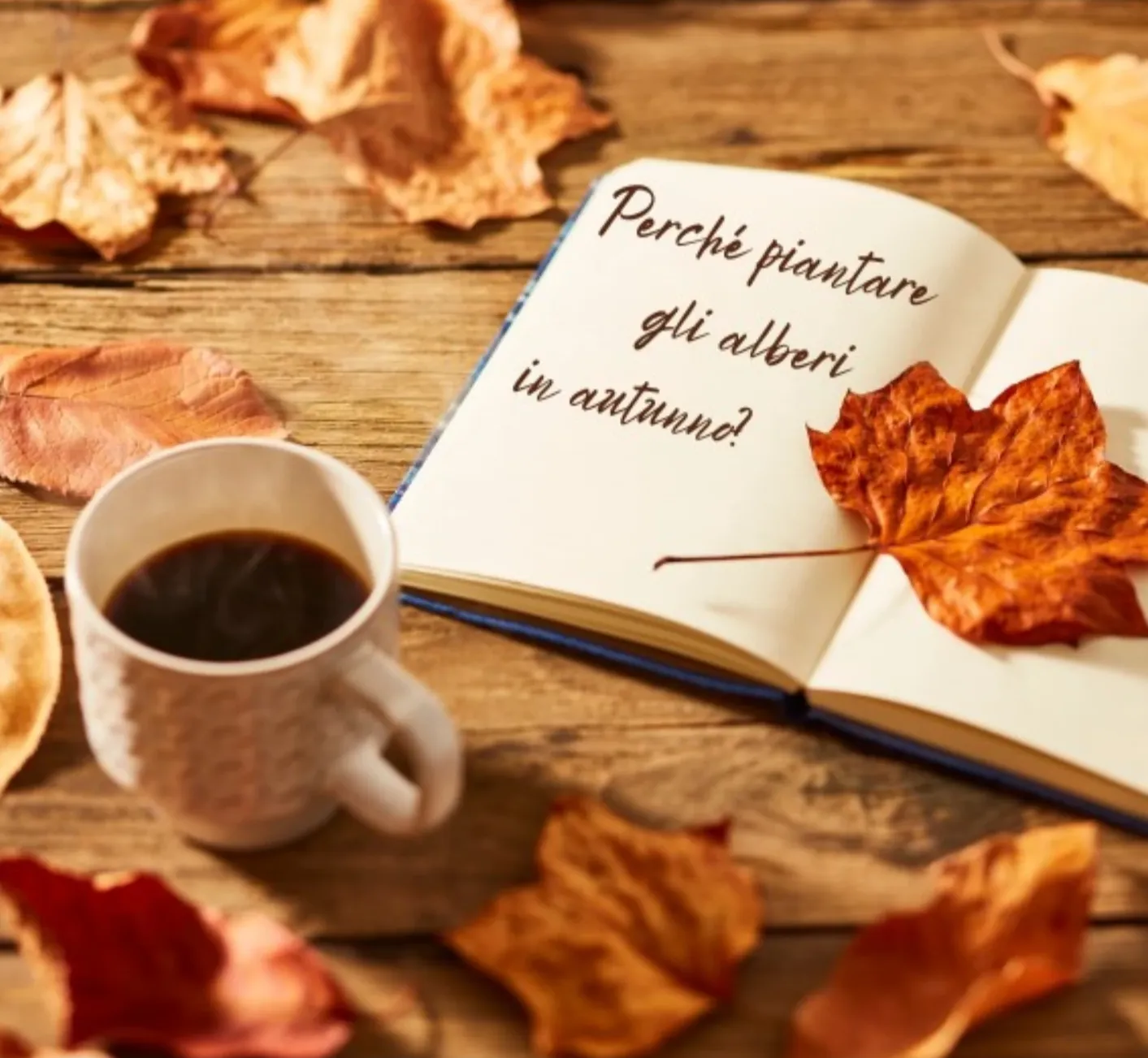 Foto di tavolo con quaderno e caffè e foglie autunnali