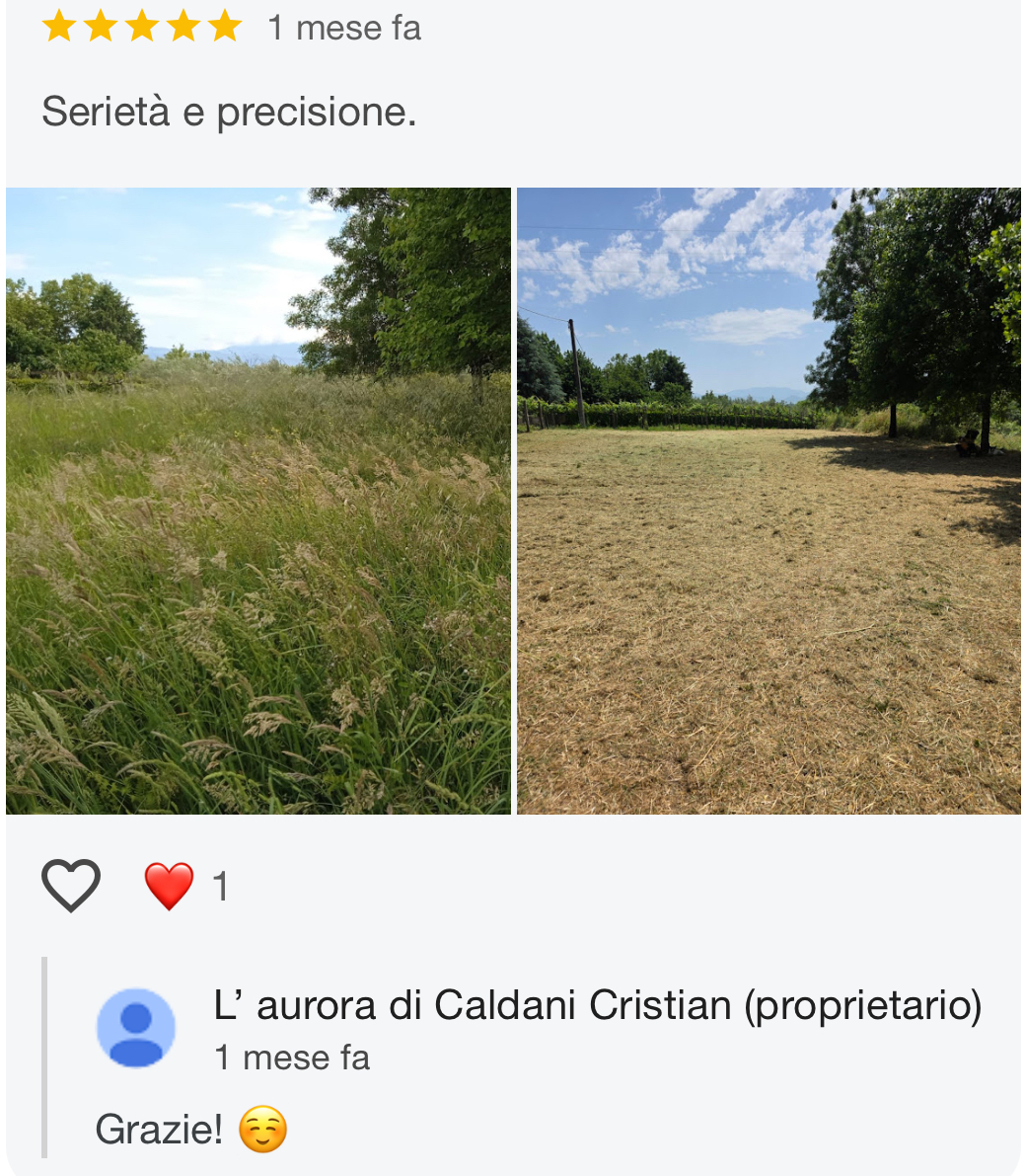Recensione Google della ditta L'aurora di Caldani Cristian