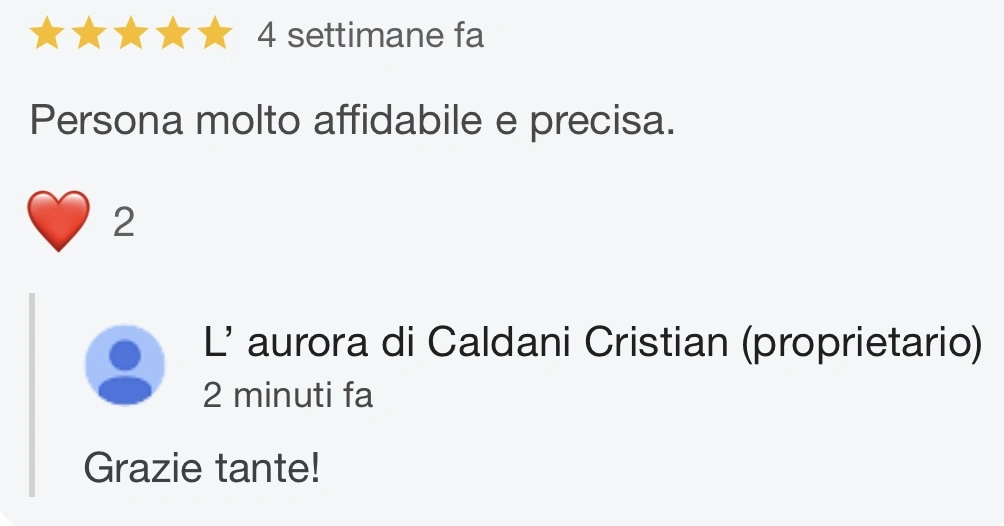 Recensione da Google "Persona molto affidabile e precisa"
